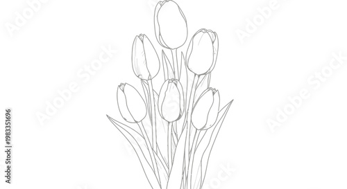 Sketch of a hand with extended fingers black and white illustration