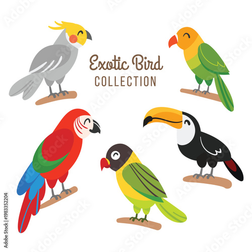 Exotic birds collection with colorful parrots and toucans