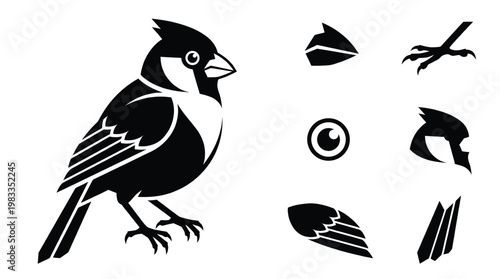 Cardinal bird vector illustration collection with cardinal body head with crest beak eye wing and bird claw icons isolated