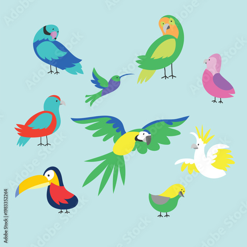 A colorful illustration of various birds on a light blue background