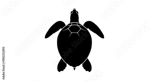 Simple abstract image with no specific details