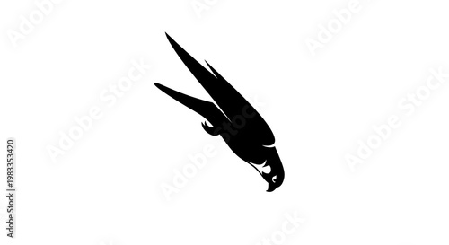 Black silhouette of a falcon diving sharply on a white background