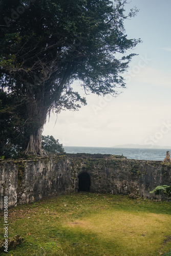Εκτύπωση καμβά Ancient stone fort ruins with ocean view and lush tree