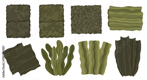 Collection of illustrated marine algae textures and plant forms in various organic shapes and earthy tones
