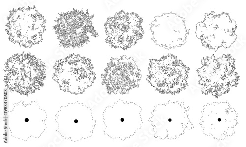 Vector set of trees in plan view for use in architectural drawings