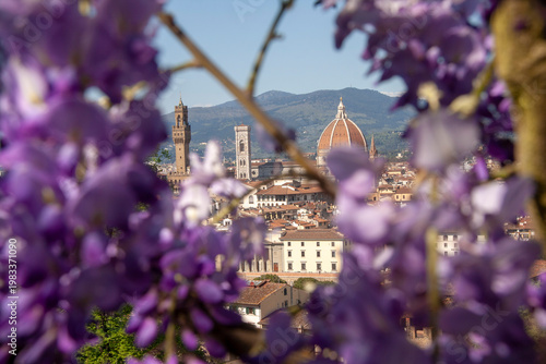 Italia, Toscana, il Giardino Bardini col glicine in fiore.
