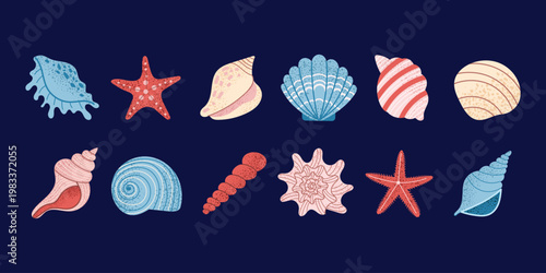Decorative seashells and starfish set on dark background. Marine summer elements for posters, packaging and beach design. Ocean themed vector illustration.