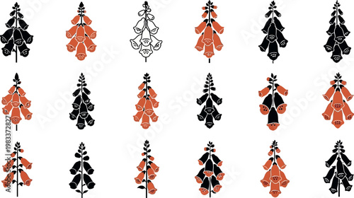 Collection of digitalis foxglove flower in black and terracotta orange plant botanical