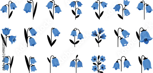 Collection of blue bell flowers and small blue flowers with black stems and leaves floral plant