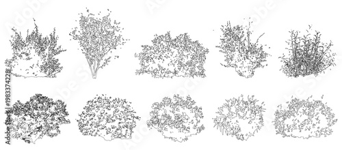 Foto Set of shrubs and bushes in elevation view for use in architectural drawings - i