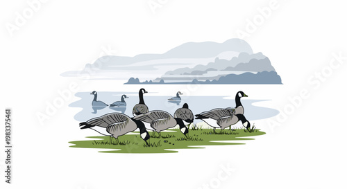 Flock of geese on grassy shore near hazy water and distant hills
