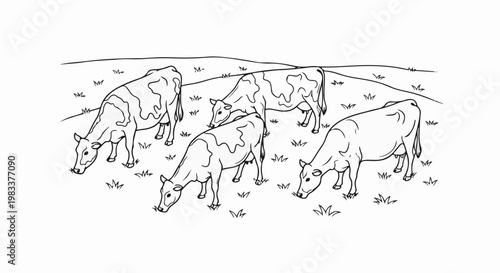 Five cows grazing in a simple, grassy field outlined in black