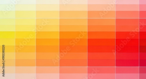 Warm Color Palette Swatches Arranged on a Design Wall for Selection