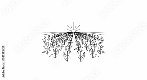 Field of tulips receding into a sunlit horizon, sketched in black and white