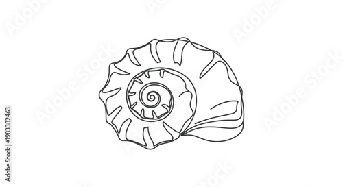 Simple line drawing of a spiral seashell with textured outer edges