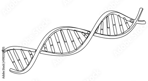 A black and white line drawing of a DNA double helix structure