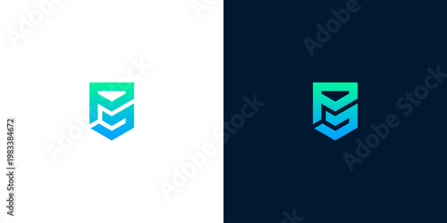 Abstract shield logo design with gradient colors