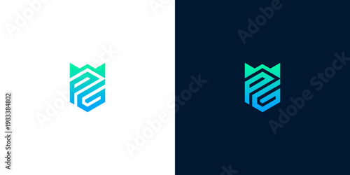 Modern abstract letter 'PG' logo design with a stylized crown or shield motif, featuring a vibrant gradient color palette for a professional brand identity