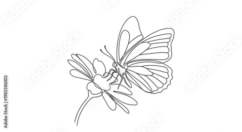 Minimalist line drawing of butterfly on a flower
