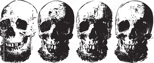 Four black and white skull illustrations in vintage style, human bone anatomy, halloween and gothic art