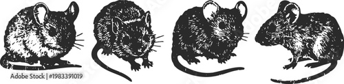 Four cute mice illustrations hand drawn small rodents with whiskers and tails vintage animal sketches