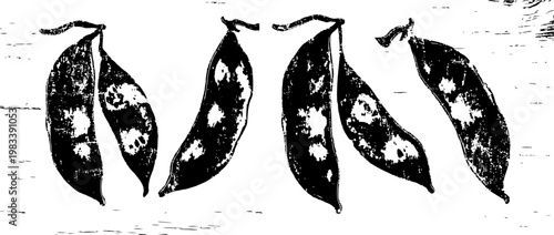 black and white peas pods with visible peas inside on rustic wooden surface