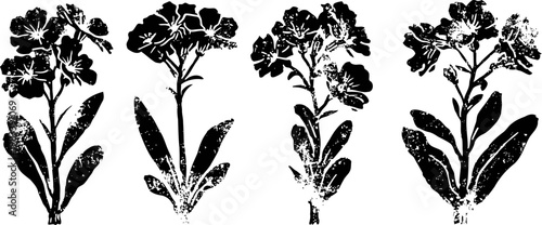 Four vintage botanical flower illustrations with detailed leaves and blooms on white background