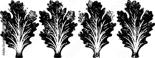 four black and white lettuce silhouettes with detailed leaves isolated on white background
