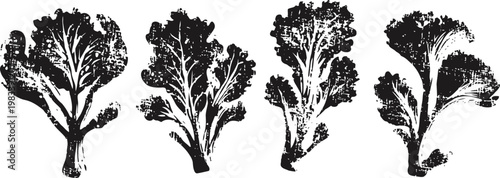 black ink silhouettes of various lettuce leaves and fresh greens isolated on white background