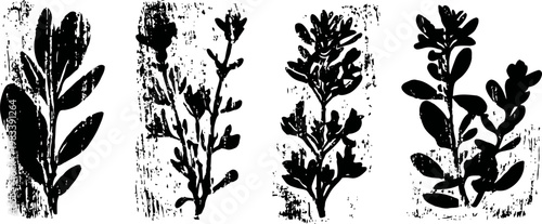 black and white botanical silhouettes of various leafy plant branches, vintage grunge