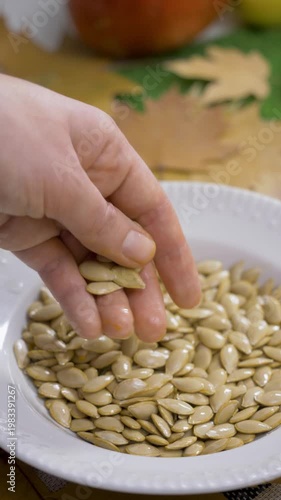 Plate with pumpkin seed. Female hand of worker examines seed. Agricultural harvest theme