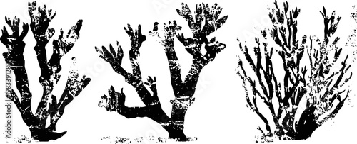 Three hand drawn black silhouettes of barren tree branches against white background