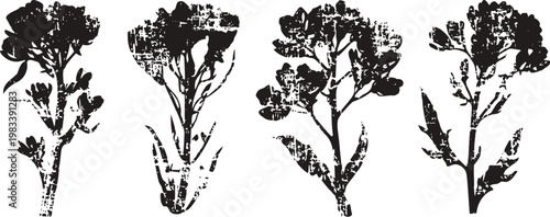 Silhouettes of flowering plants with buds and leaves in black and white outline