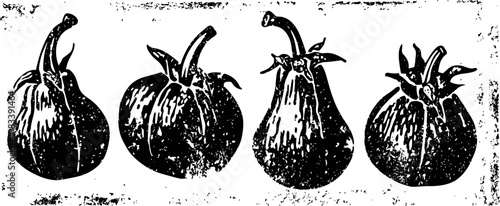 Vintage botanical illustration of four different eggplants with detailed shading and texture