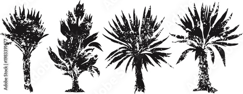 Silhouettes of four distinct palm trees with textured leaves and trunks in black ink