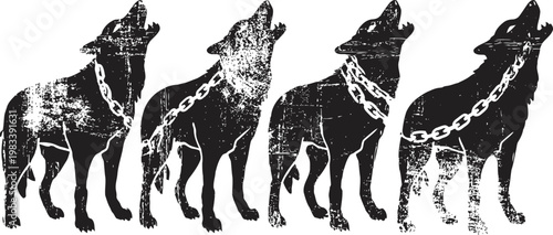 chained wolves howling in black silhouette with textured grunge effect, wild animal vector set
