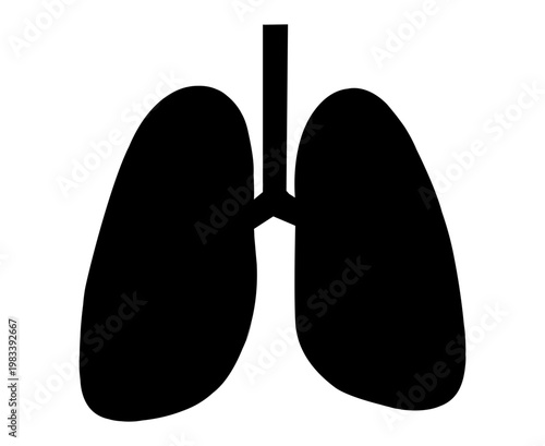 vector illustration of human lungs silhouette


