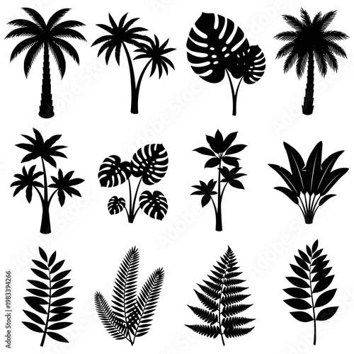 Various tropical plants and palm trees silhouetted against a white background for e.ai reference