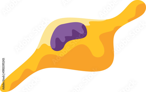 Smooth muscle cell structure with nucleus representing anatomy and biology