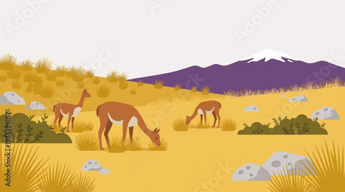 Serene Andean Vicuñas Grazing in the High Desert