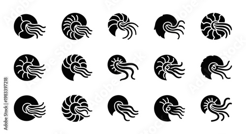 Black nautilus shell icons, nautilus vector set, ocean creature symbols, black and white illustrations, 15 nautilus graphics