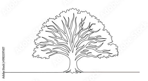 Minimalist line drawing of a mature tree with a broad, leafy canopy and thick trunk
