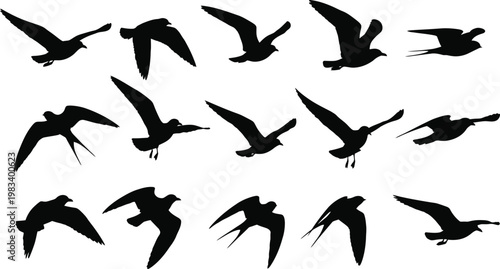 Bird silhouette icon set diverse flying bird shapes for graphic design web design and digital applications