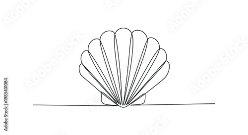 A minimalist black outline of a fan-shaped seashell resting on a horizontal line