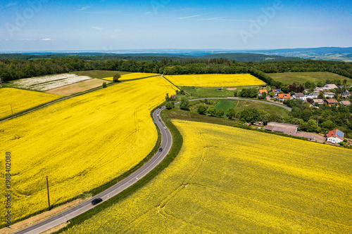 Bird's-eye view of flowering rapeseed fields in the Lower Taunus region