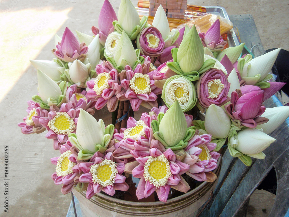 custom made wallpaper toronto digitalCombined flowers - natural lotuses framed with artificial fabric petals