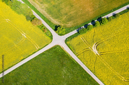 Bird's-eye view of flowering rapeseed fields in the Lower Taunus region