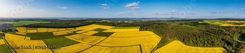 Bird's-eye view of flowering rapeseed fields in the Lower Taunus region