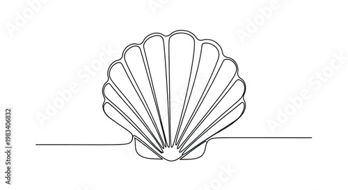 Minimalist black line drawing of a scallop shell