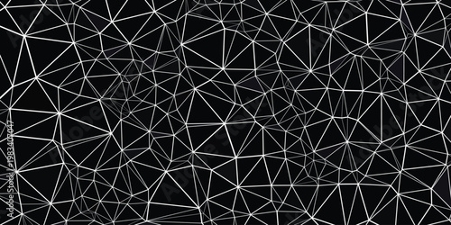 Abstract Background Abstract geometric plexus background, white network lines on black, digital connection web, futuristic tech vector